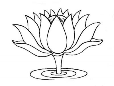 The lotus suspended above the water of life